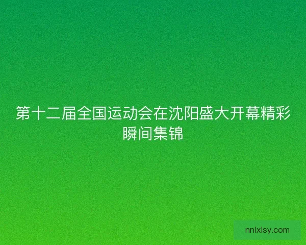 第十二届全国运动会在沈阳盛大开幕精彩瞬间集锦